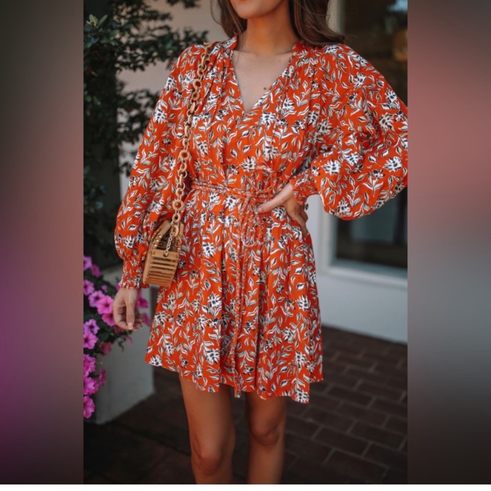 alice + olivia Lilian Linen Dress In  Free Swinging Sienna Sz 6